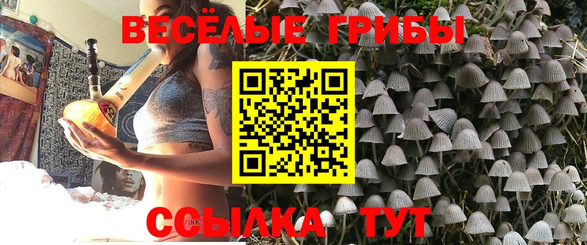 Галлюциногенные грибы Cubensis  где купить наркотик  Кольчугино  Вход с VPN  Галлюциногенные грибы MAGIC MUSHROOMS 