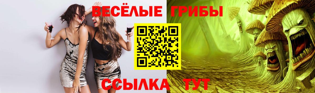 Псилоцибиновые грибы GOLDEN TEACHER Кольчугино